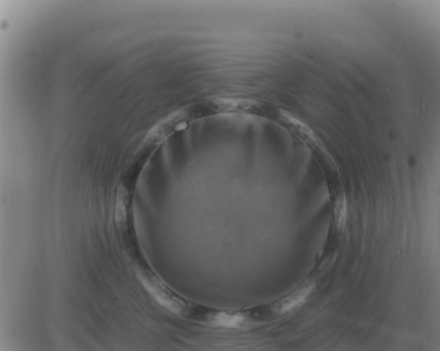X0000083560570200702162030