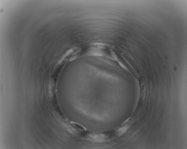 X0000083560712200702162028