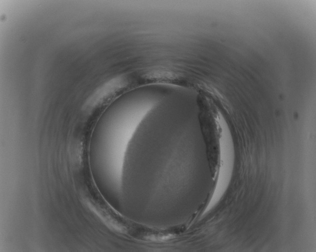 X0000083560735200702162027