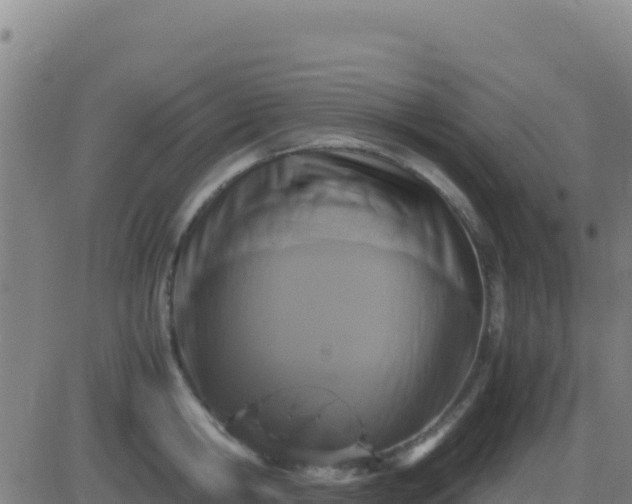 X0000083560806200702162026