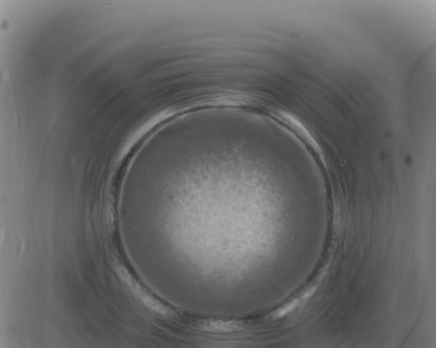 X0000083560835200702162025