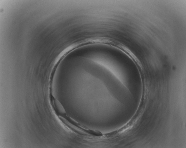 X0000083560853200702162026