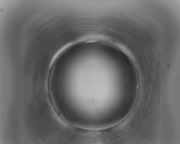 X0000083560912200702162024