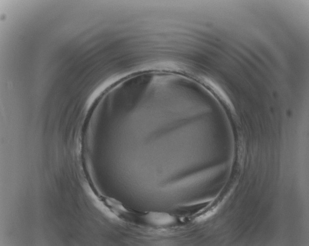 X0000083560944200702162024
