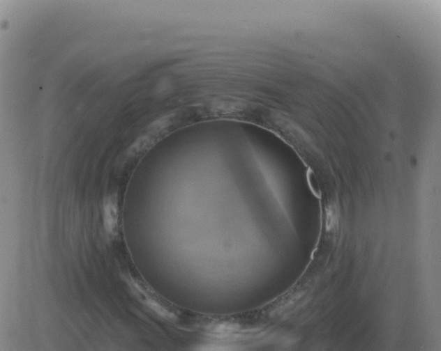 X0000083561011200702162022