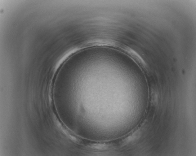 X0000083561182200702162020