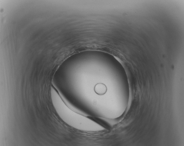 X0000083561202200702162019