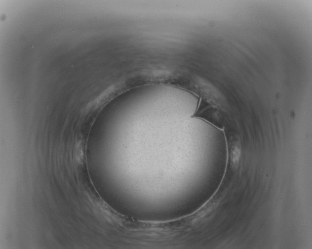 X0000083561204200702162019