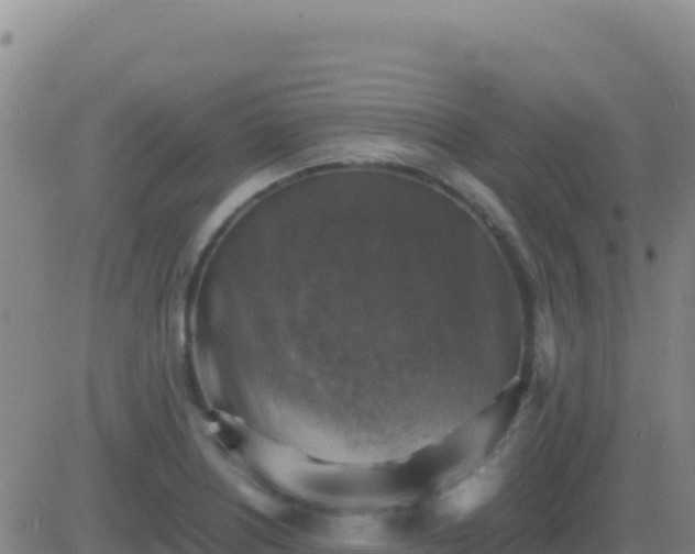 X0000083561226200702162019