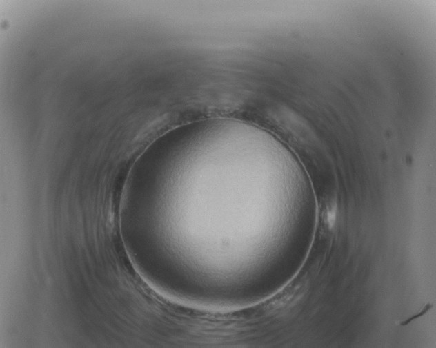 X0000083561252200702162019