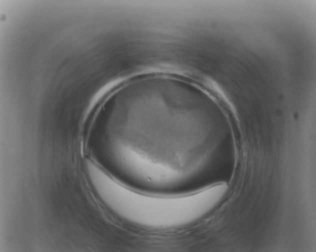 X0000083561320200702162018