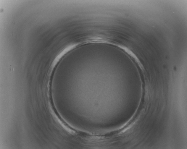 X0000083561333200702162018