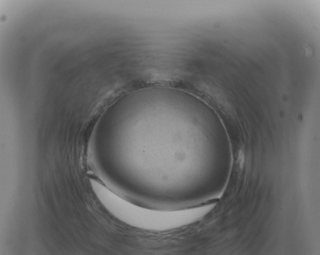 X0000083561348200702162017