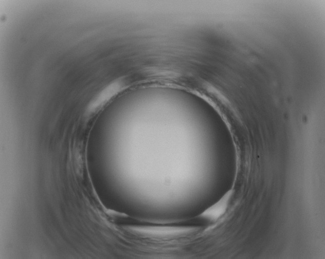 X0000083561354200702162017
