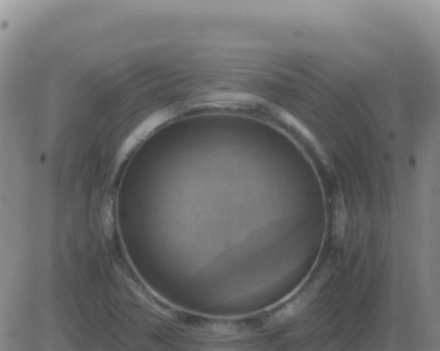 X0000083561362200702162017