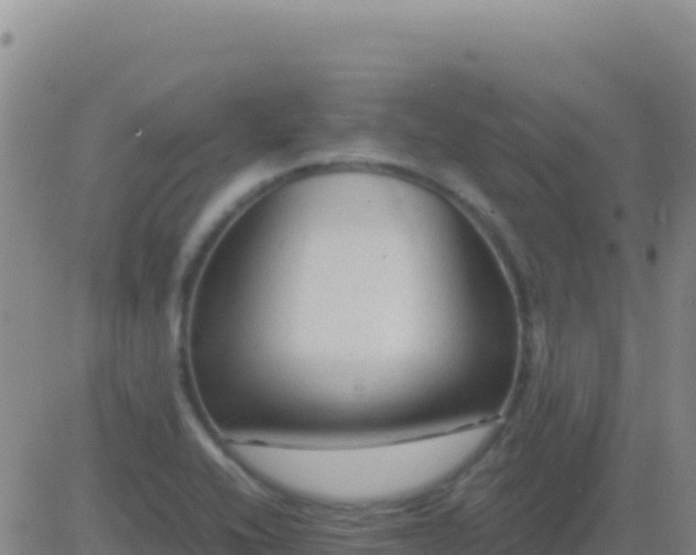 X0000083561416200702162016