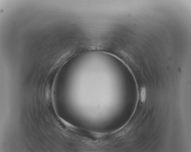 X0000083561444200702162016