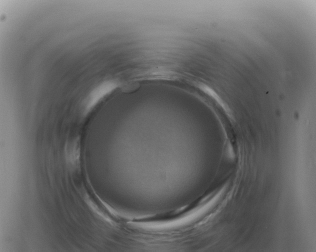 X0000083561450200702162016