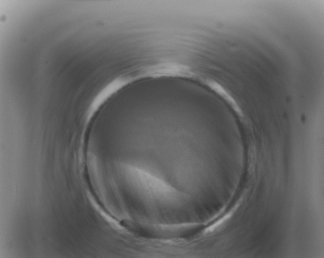 X0000083561469200702162015