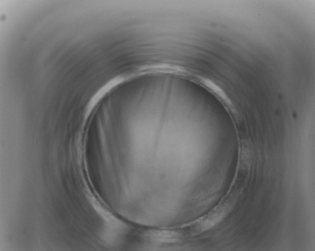 X0000083561474200702162015