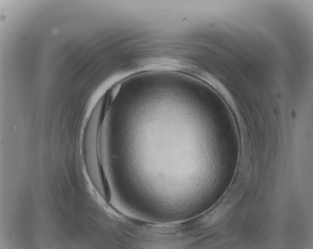 X0000083561488200702162015