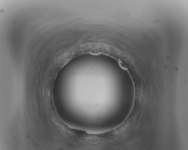 X0000083561489200702162014