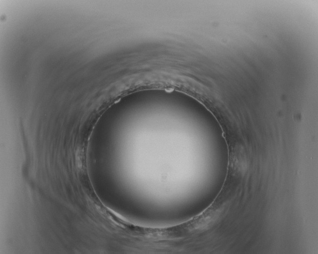 X0000083561490200702162014