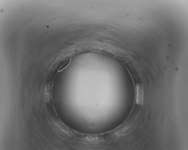 X0000083561491200702162014