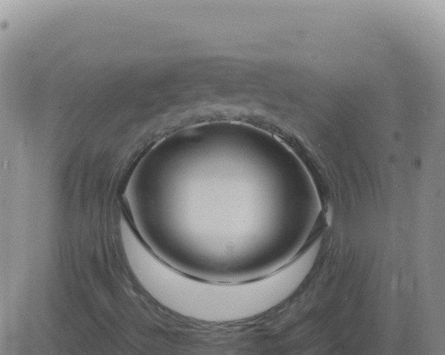 X0000083561492200702162014