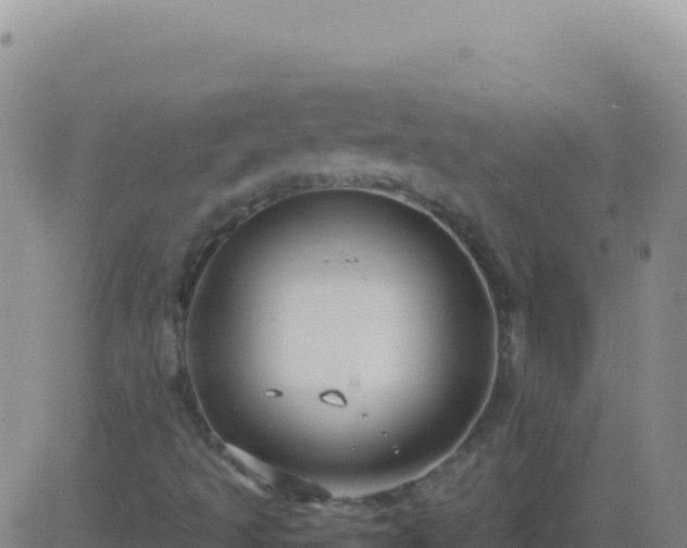 X0000083561493200702162014