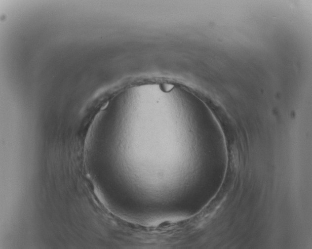 X0000083561494200702162014