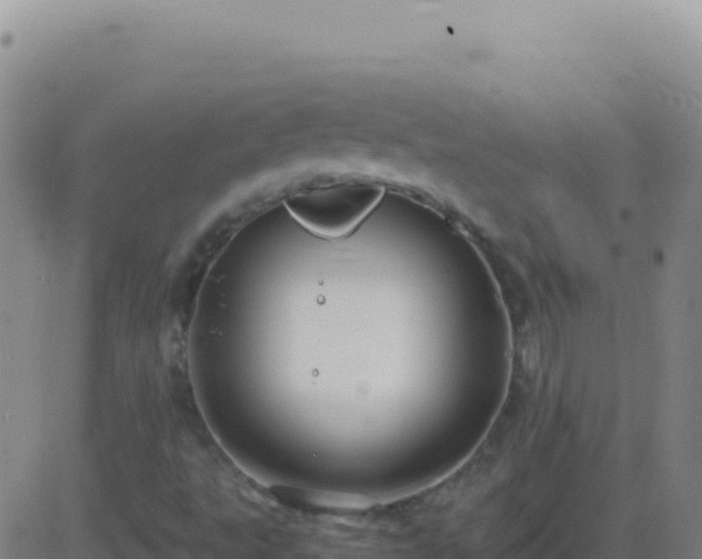 X0000083561495200702162014