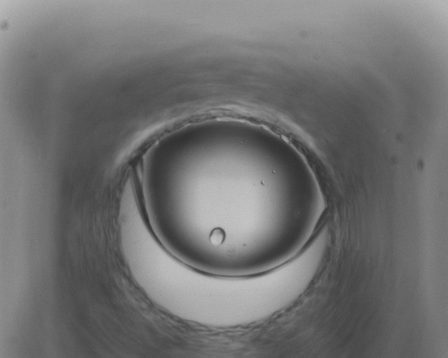 X0000083561496200702162014