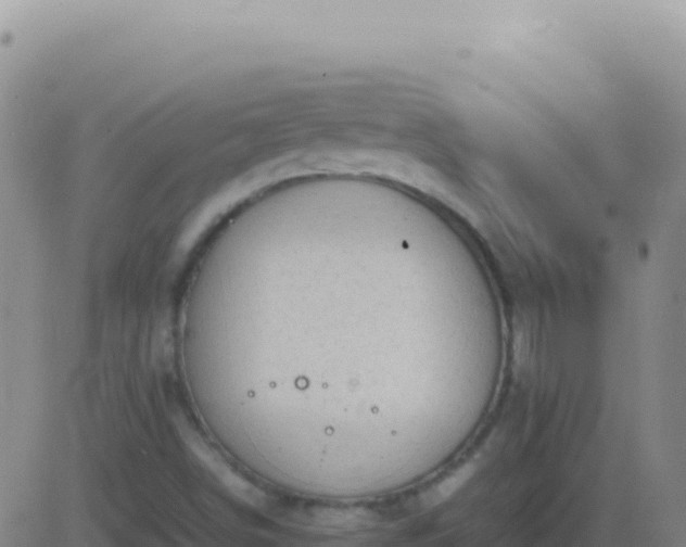 X0000083561498200702162014