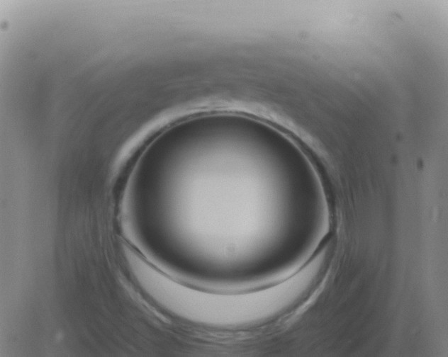 X0000083561502200702162014