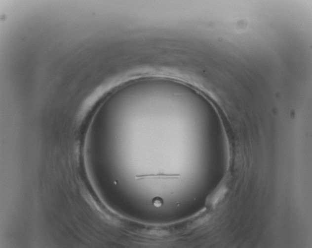 X0000083561503200702162014