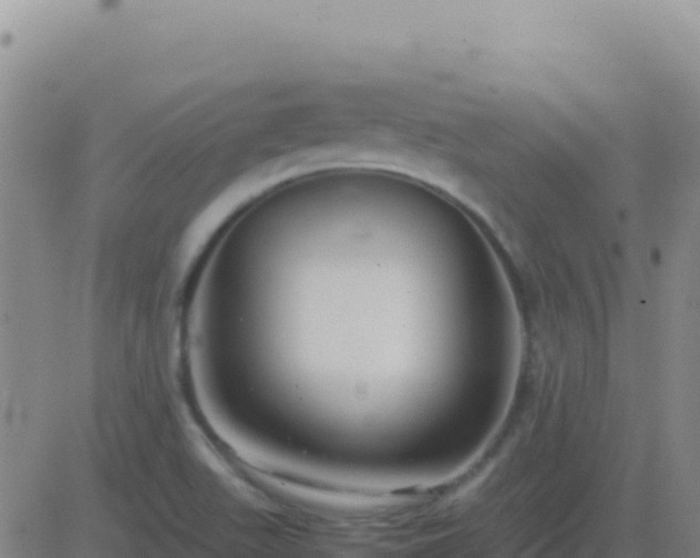 X0000083561511200702162014