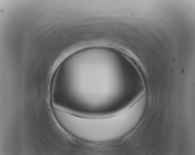 X0000083561512200702162014