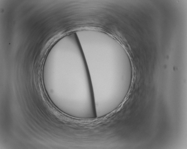 X0000083560001200702231616