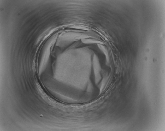 X0000083560002200702231616