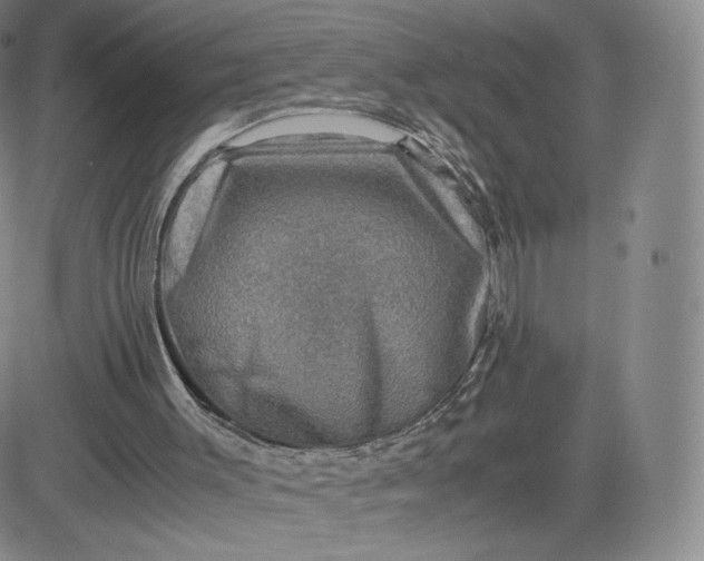 X0000083560003200702231616