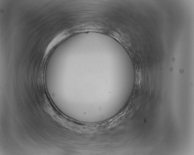 X0000083560004200702231616