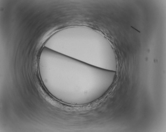 X0000083560005200702231616