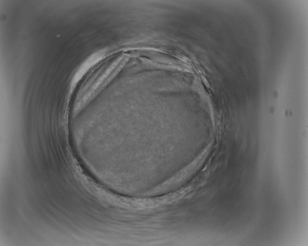 X0000083560006200702231616