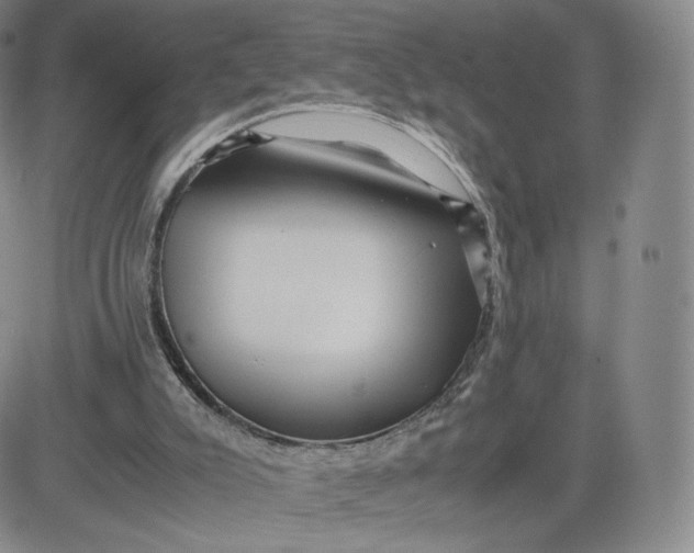 X0000083560007200702231616