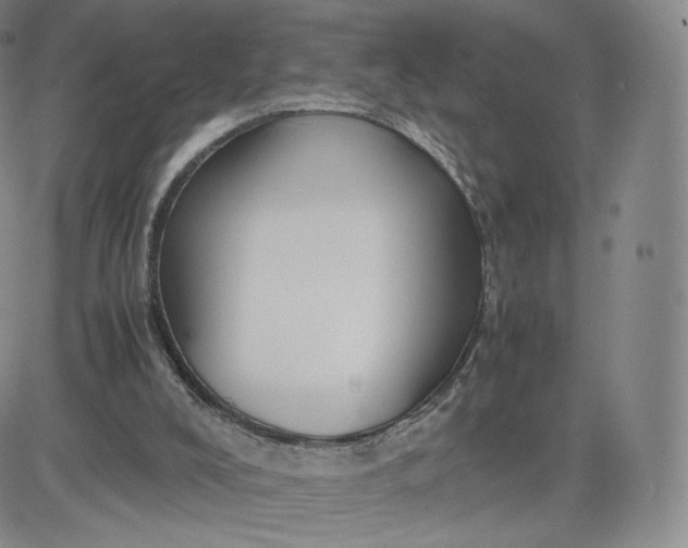 X0000083560008200702231616