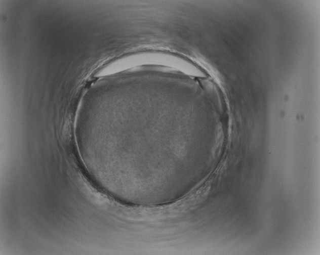 X0000083560009200702231615