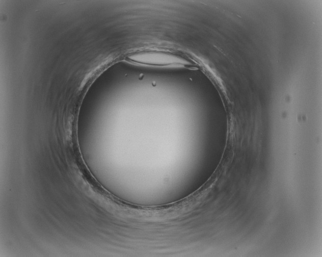 X0000083560010200702231615