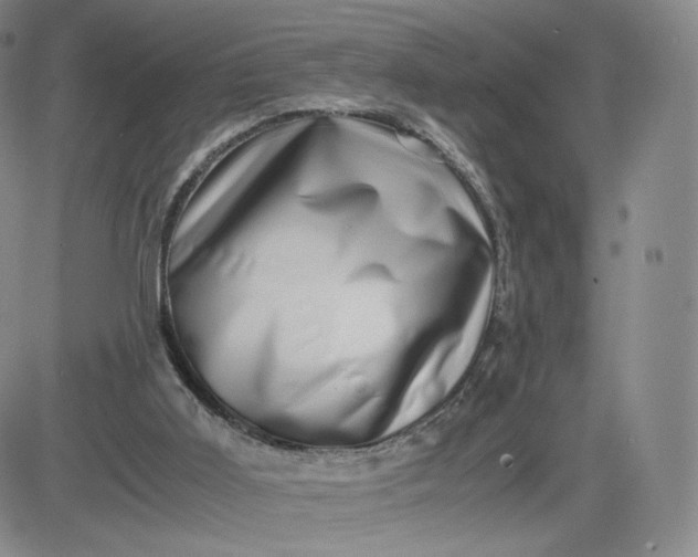 X0000083560011200702231615