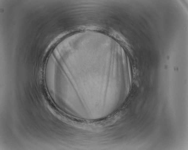 X0000083560012200702231615